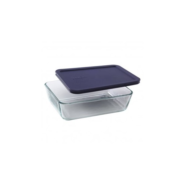 Instant Brands Glass Staining Dish w/Lid, Medium, 2/pk, 2PK 248925 - main